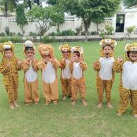 FB IMG 1758955528133